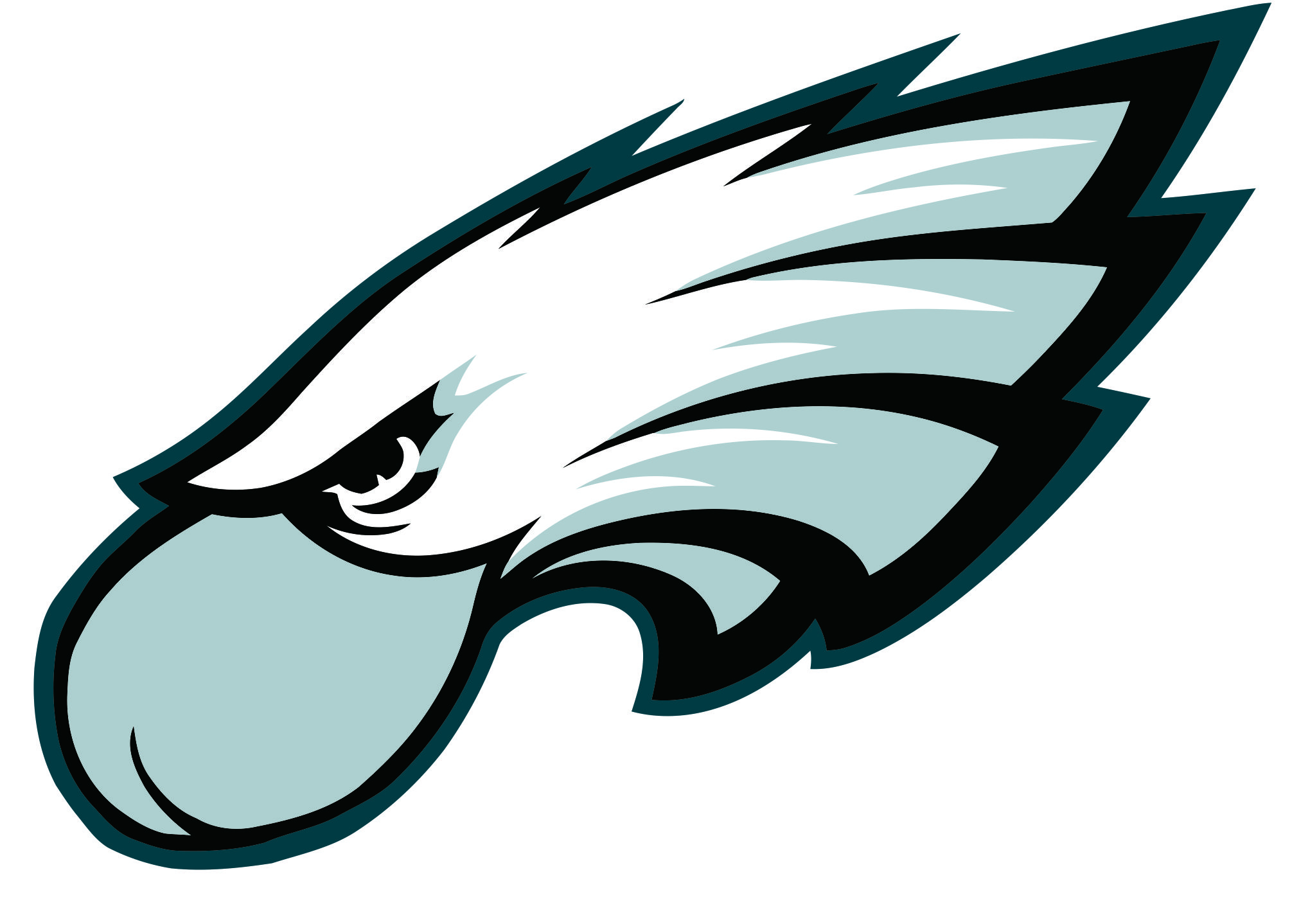 Philadelphia Eagles Butts Logo DIY iron on transfer (heat transfer)